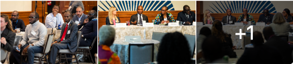 AmCham Regional Networking Reception: SEMS an der Seite der US-Afrika-Botschafter