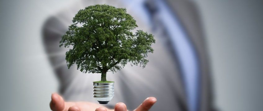 Social Responsibility in Procurement