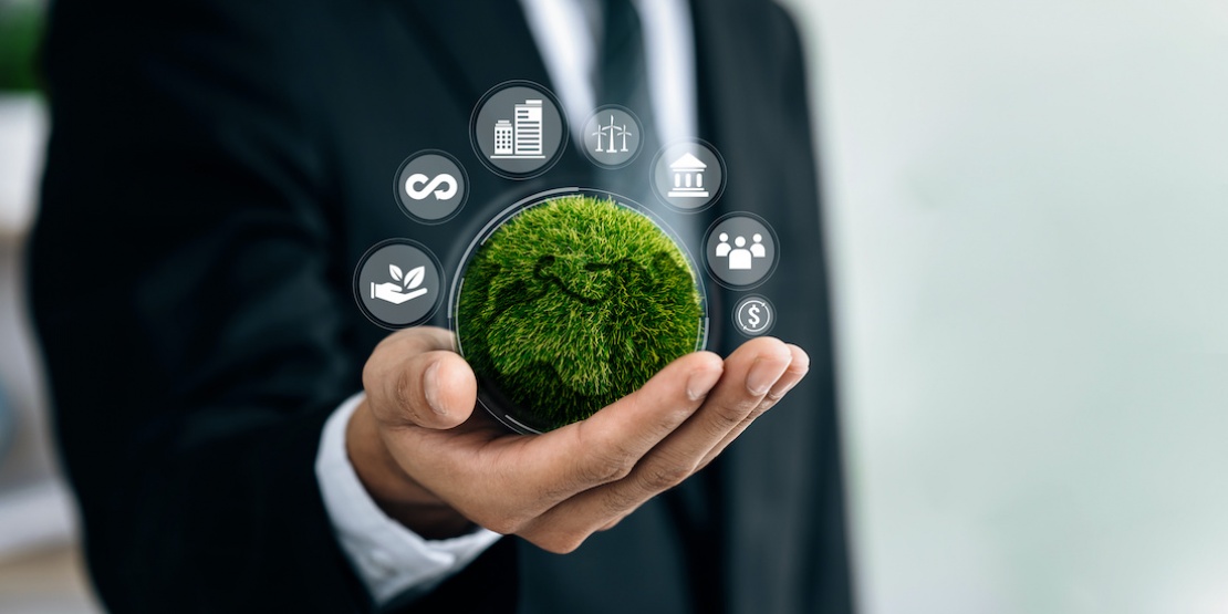 El impacto ecológico de la digitalización de las compras: Cómo las empresas pueden promover prácticas sostenibles